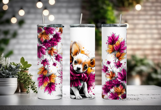 Chihuahua automne - 20 oz