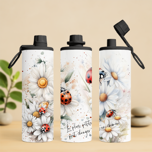 Coccinelles et marguerites